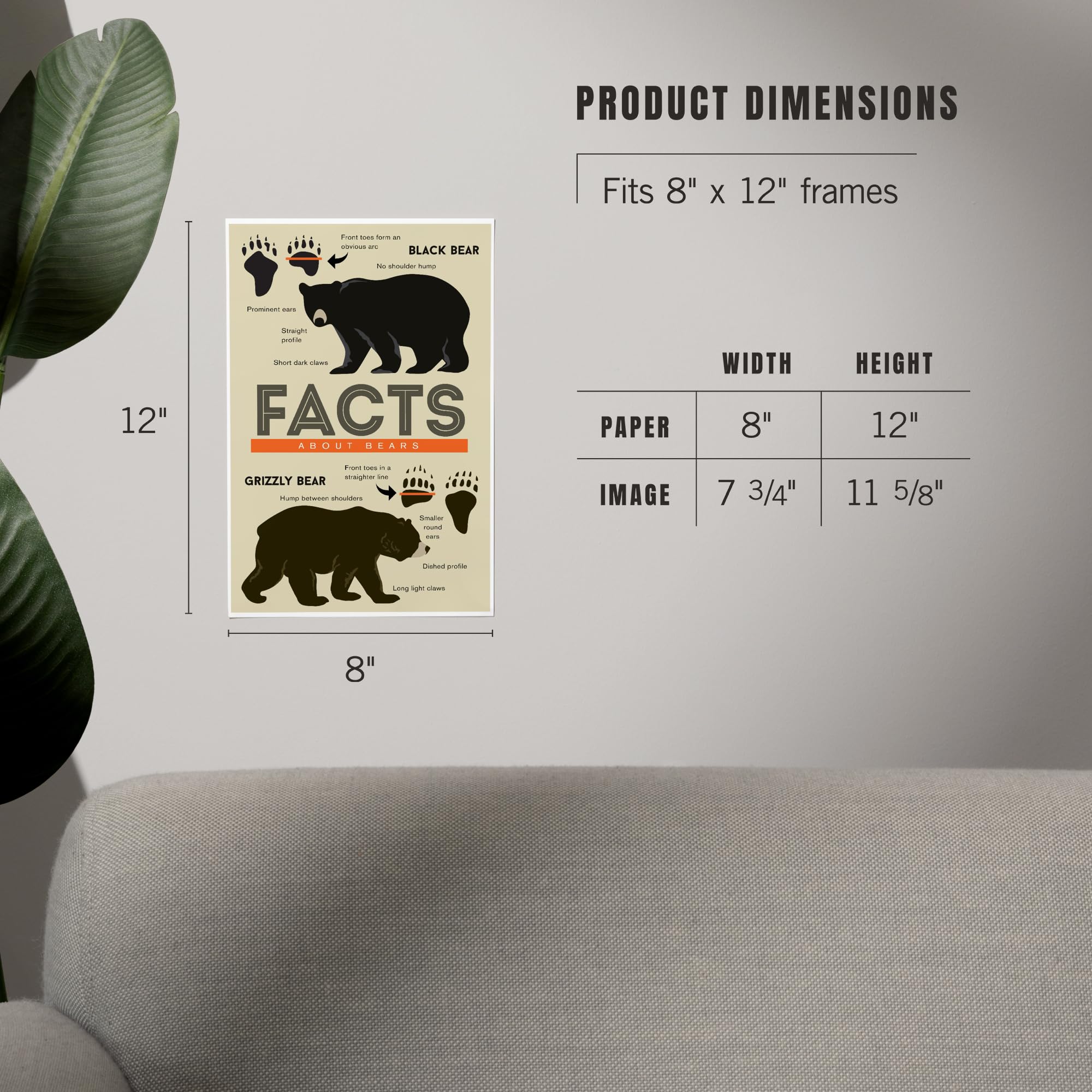 Amazon.com: Lantern Press 8x12 Art Print, Facts About Bears