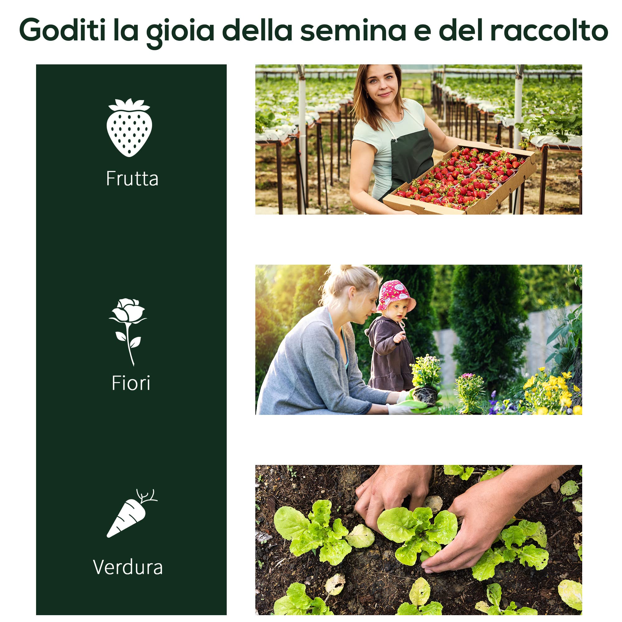 Outsunny Serra da Giardino con Finestre Avvolgibili, Serra per Orto con Struttura in Acciaio e Copertura PE, per Orto Verdure Fiori Frutta, Anti UV, Trasparente
