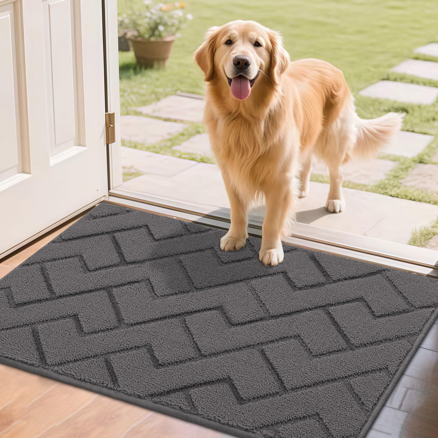 Biscpro Fußmatte Grau 60x90cm Innen und Außen, Waschbar Fussmatte, Wasserdicht Türmatte, Rutschfester Schmutzfänger Teppich für Eingang, Haustür, Patio, Flur, Garten