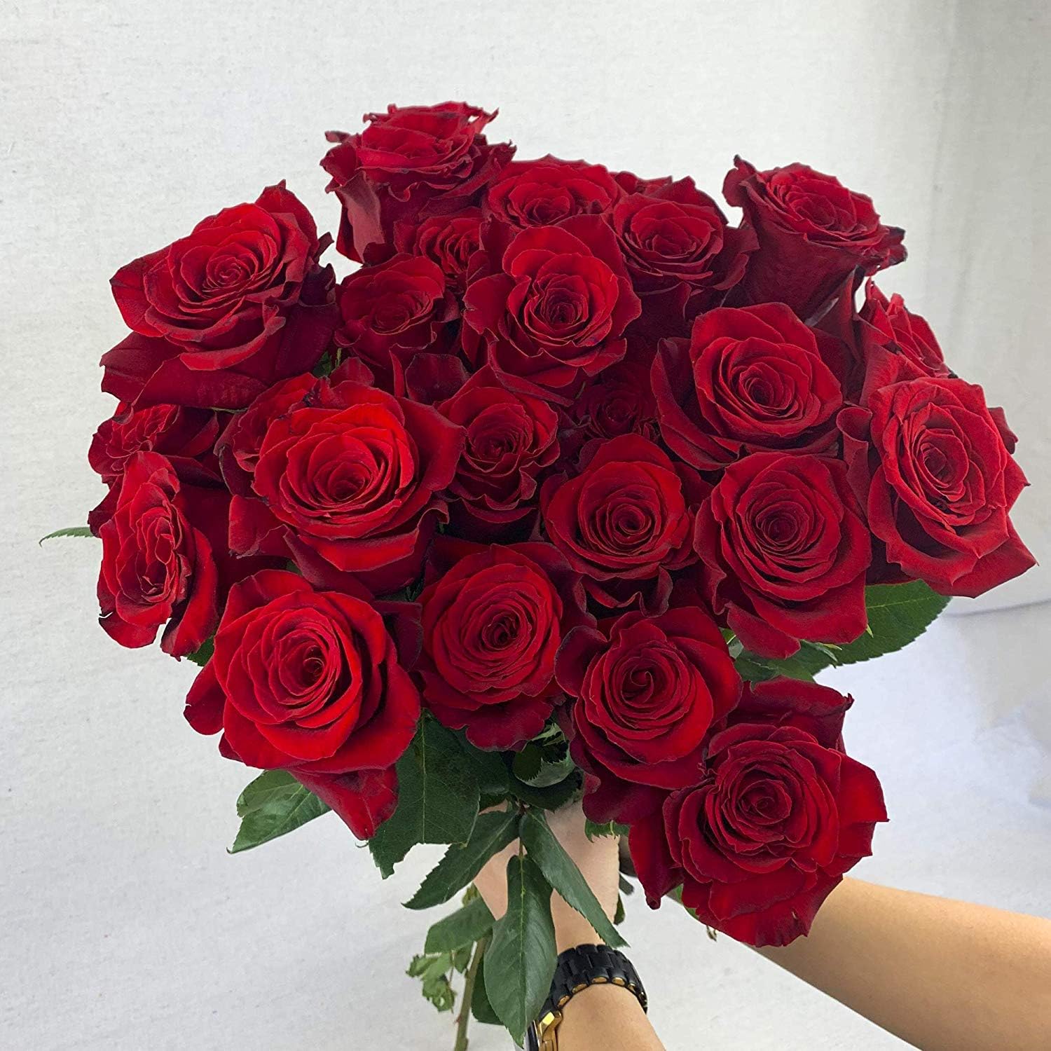 Red Roses
