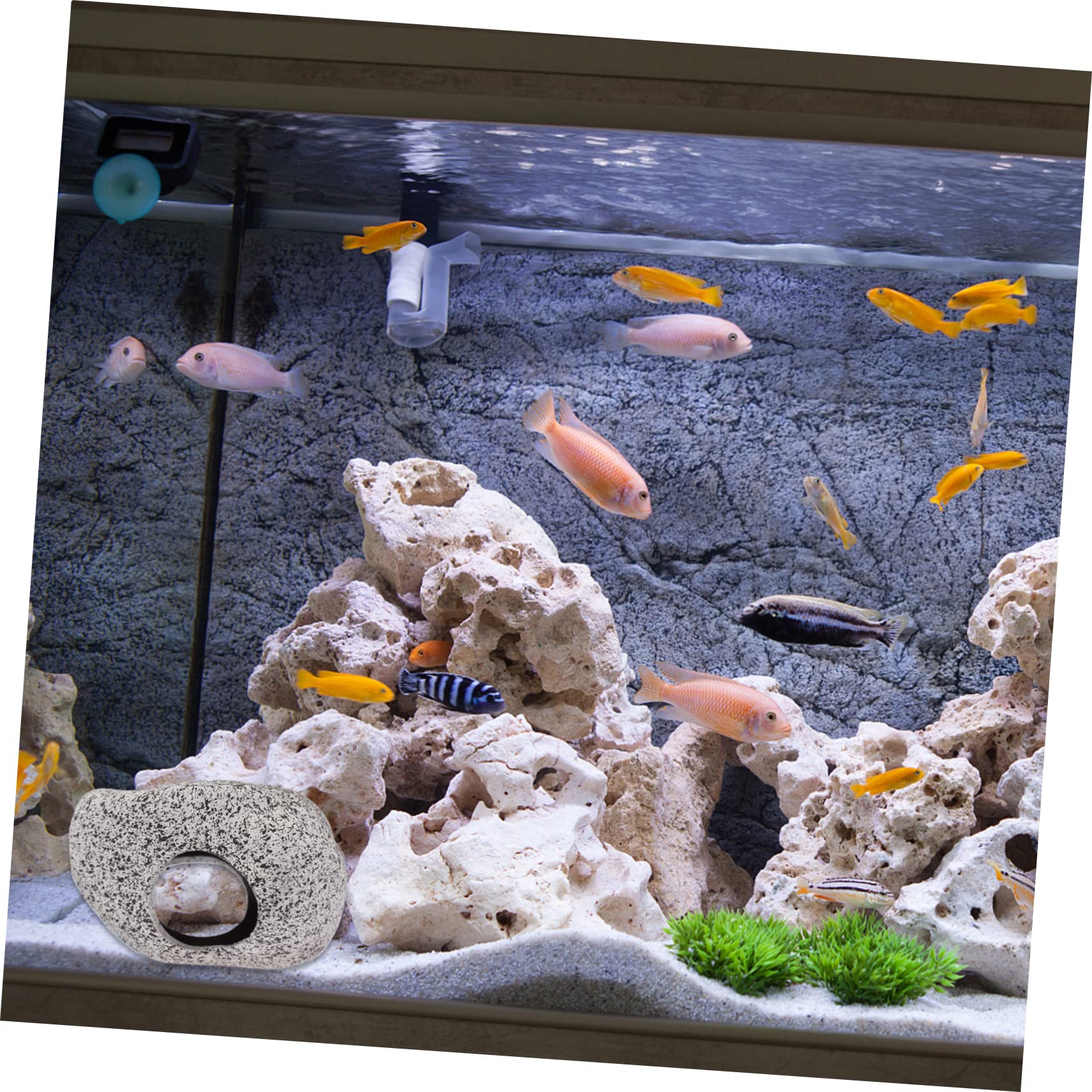 Kisangel 2 Piezas Agujero para Esquivar La Olla De Barro Resto De Acuario Piedra Ceramica Escondite De Cueva De Cíclidos Decoración Pecera Roca Cueva Maceta De Barro Loro Casa Escondite