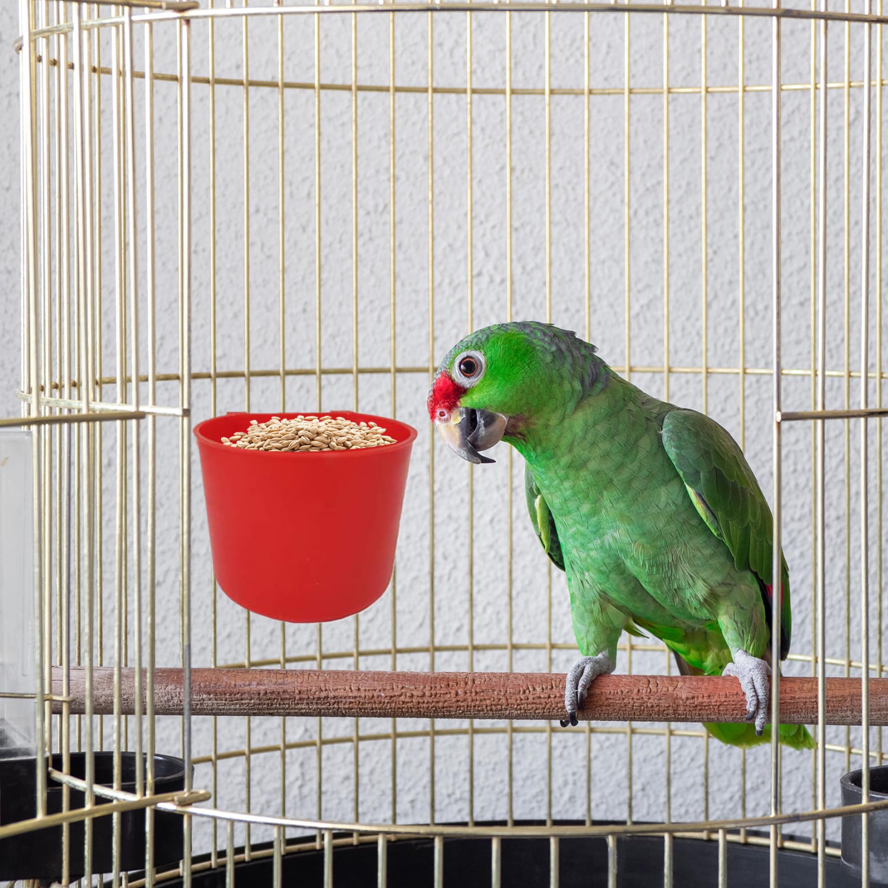 Suministros de Gallo de Juegos de alimentación de Palomas, alimentador de plástico de 50 Piezas de plástico, alimentador de Pollo Colgante, Suministros de alimentación y riego de Aves fácil