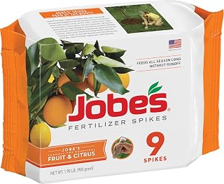 Jobes Fui Tee Feiize Spikes