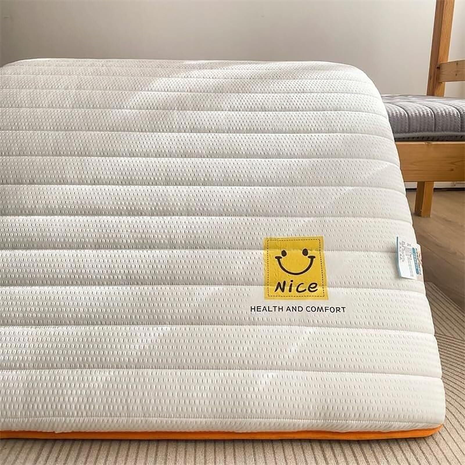 Matelas futon épais Simple/Double, Matelas de Sol Pliable Japonais, Couchage Portable pour canapé-lit/dortoir (Dimensions : 100 x 200 cm, Couleur : Vert)(Blue,80x190cm/31.5x75inch)