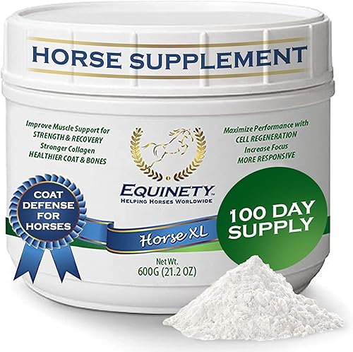Productos de Equinety Horse