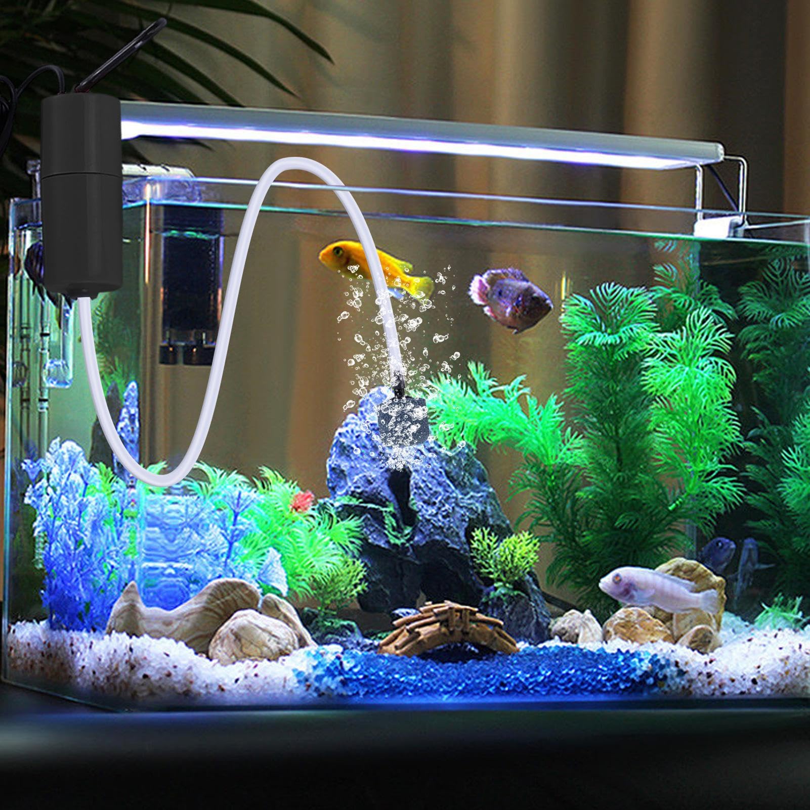 Amazon.co.jp: 水槽用酸素ポンプ | 屋外用ポータブル充電式魚用酸素