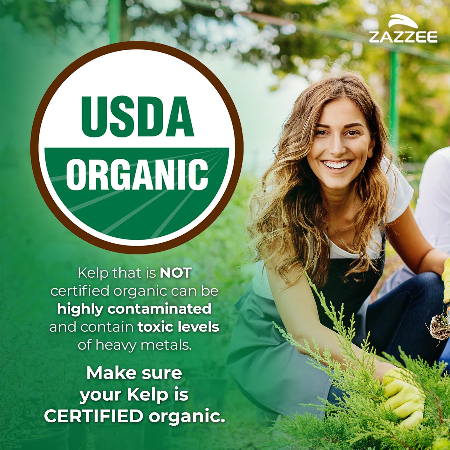 Zazzee USDA Organic Kelp Iodine 30:1 Extract, 300 mcg per Capsule, Vegan — Amazon image 2