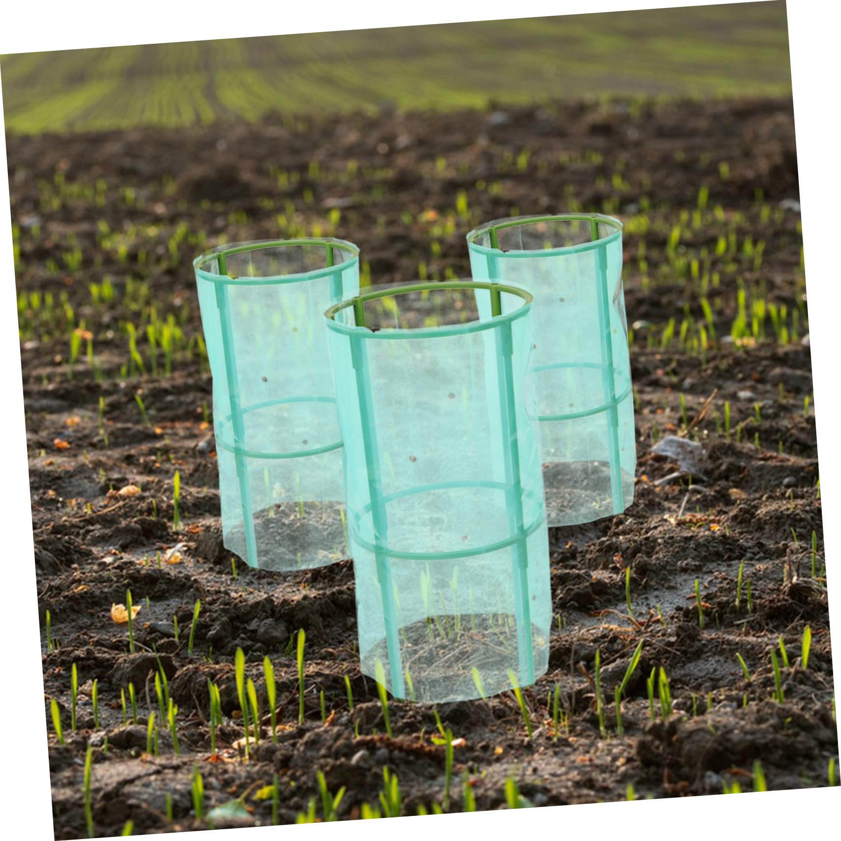 SHINEOFI 2 Pezzi di Aiuole per Piante di Pomodoro Protezione per Verdure Coperture Invernali per Piante