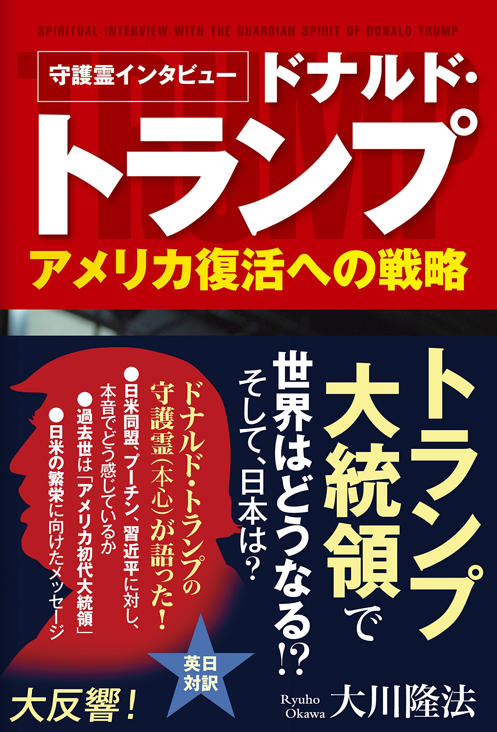大川隆法　霊障問題の解決 霊現象・霊障への対処法/大川隆法 : bookfanプレミアム - 通販