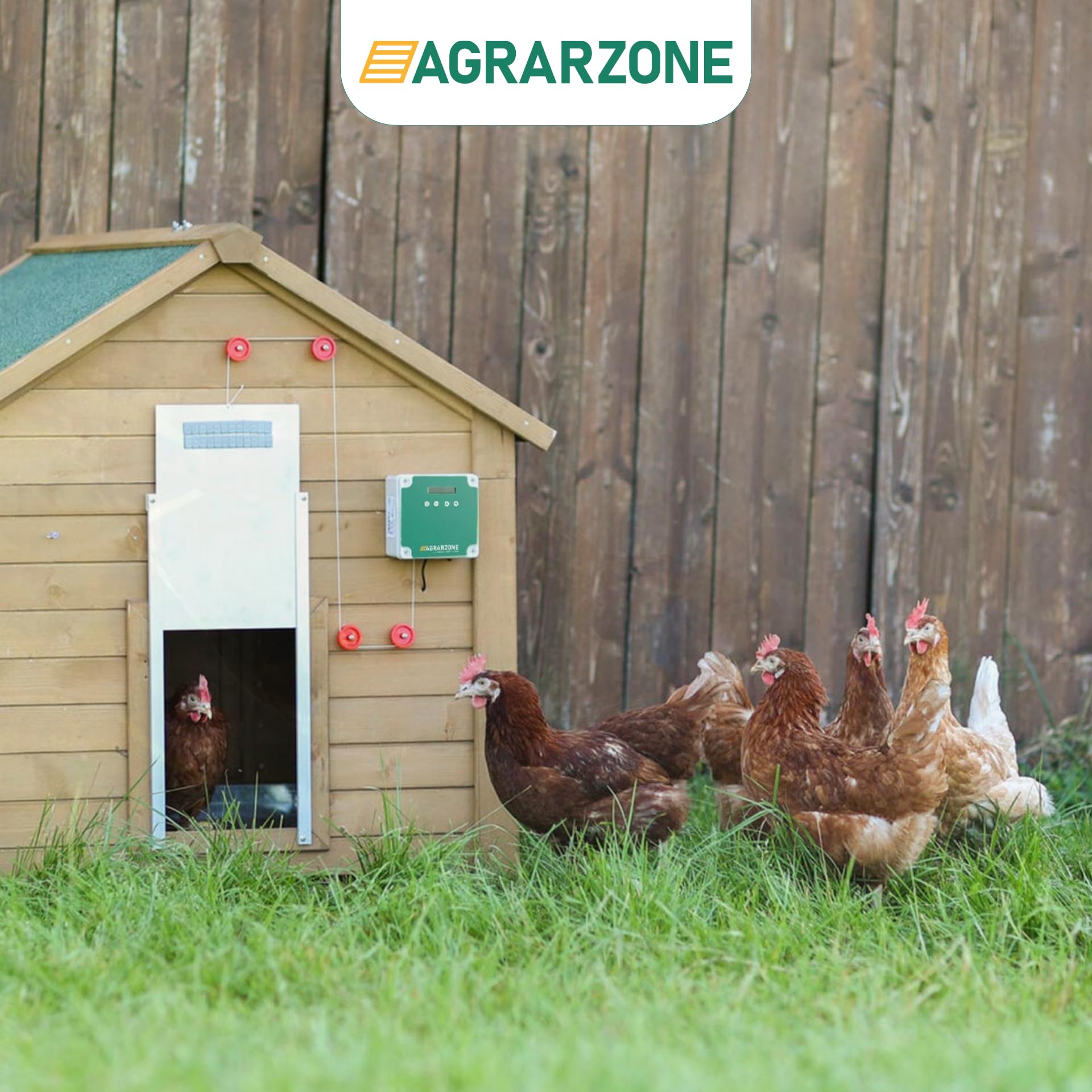 Agrarzone Hühnerklappe Batterie ohne Schieber Hühnerstall Hühner Solar | Timer, Manuell, Lichtsensor, elektrisch, Hühnerstall