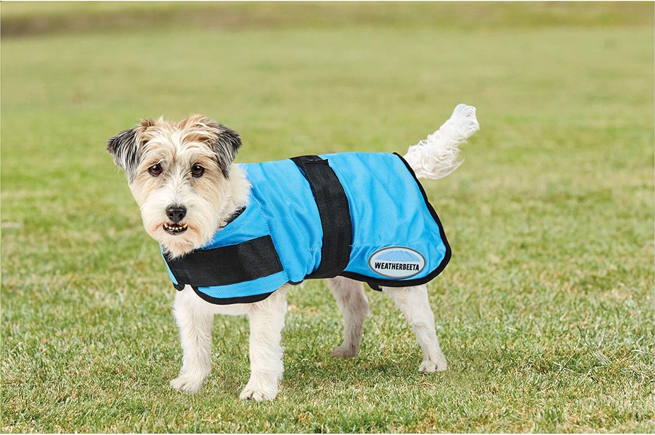 Manteau rafraîchissant pour chien Weatherbeeta Therapy-Tec