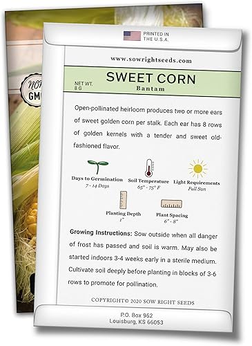 Miniatura 3 de Sow Right Seeds - Colección de semillas de maíz raras para plantar - Variedades de palomitas de maíz, hopi azul y nogal blanco King - Paquetes de