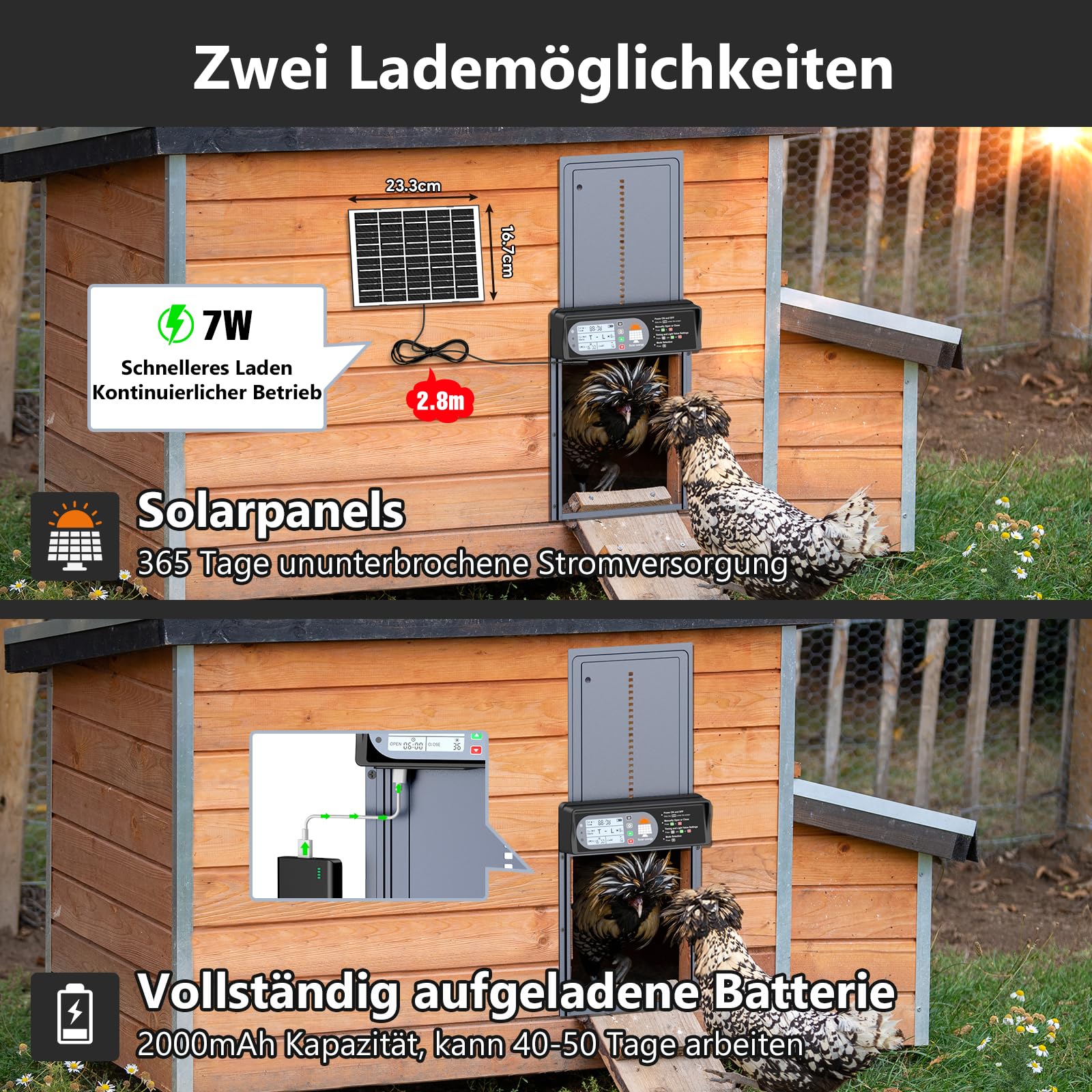 Automatische Hühnerklappe Solar, CHAMUTY Aluminum Elektrische Hühnerklappe Automatisch mit LED Display, Lichtsensor, Timer, Fernbedienung, Hühnerstalltür, Grau