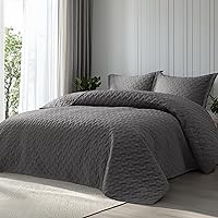 Bedsure Grey Queen Quilt Set - Soft Basket Weave Bedspread, Lightweight All-Season Coverlet with 2 Pillow Shams (90x96")