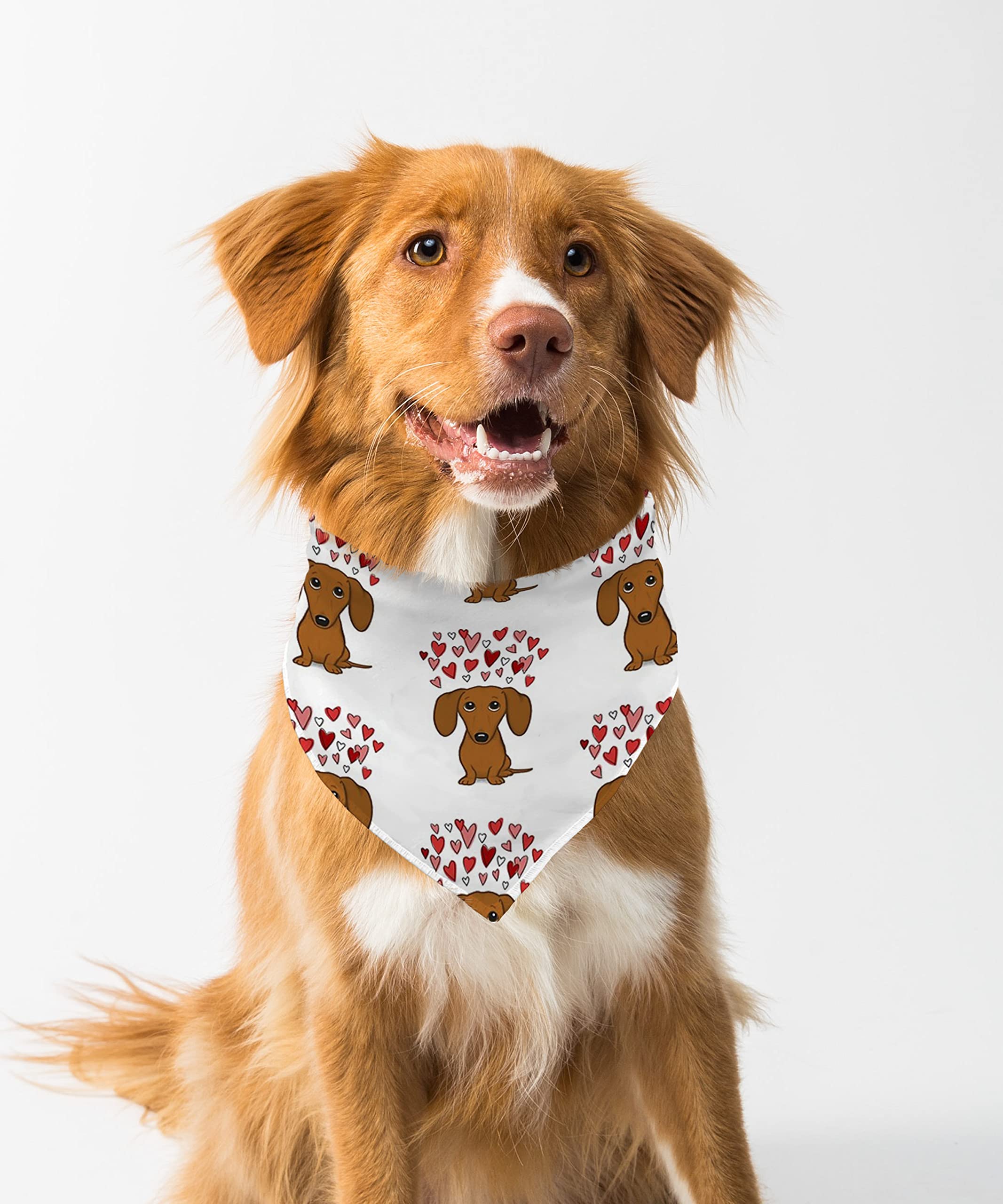 Farnup Adjustable & Comfortable Dog Bandana,Cute Dachshund with Hearts, Graphic Printed Bandana for Dogs | Dog Scarf, Accessory | Gifts for Dogs-S/M (B0BVHG6D58) Amazon Price History, Amazon Price Tracker