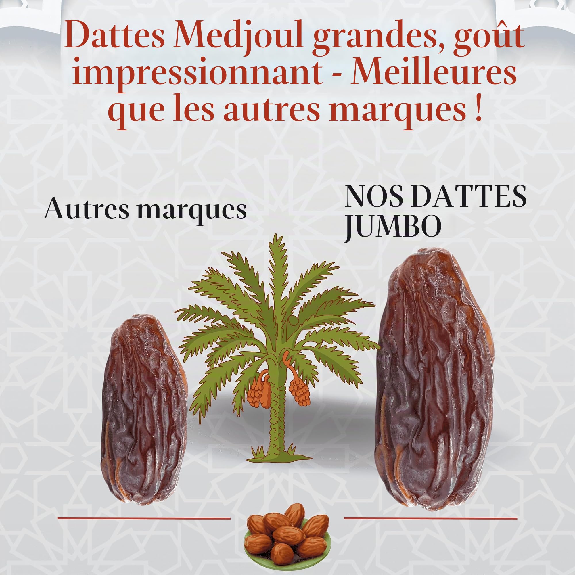 5 kg de dattes Medjoul Jumbo de qualité supérieure | Dattes fraîches 100 % naturelles, sans sucre ajouté, collation saine, source d'énergie, dattes de Palestine (5 kg de dattes Mejoul)