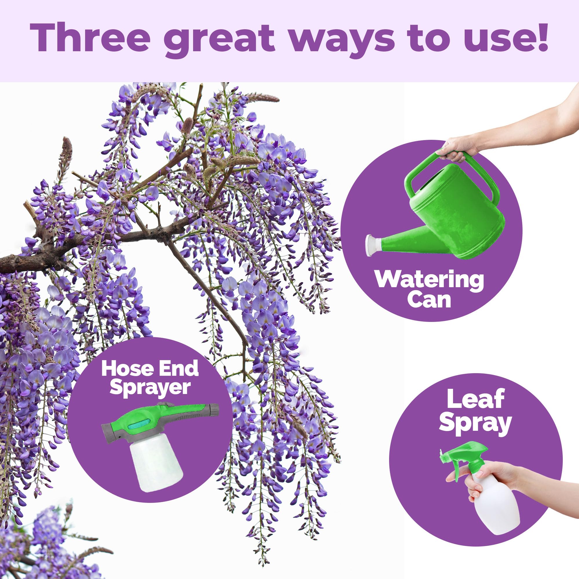 Amazon.com : Wisteria Fertilizer  Liquid Plant Food for More Blooms,  Stronger Vines & Healthy Root Development, 8 oz : Patio, Lawn & Garden