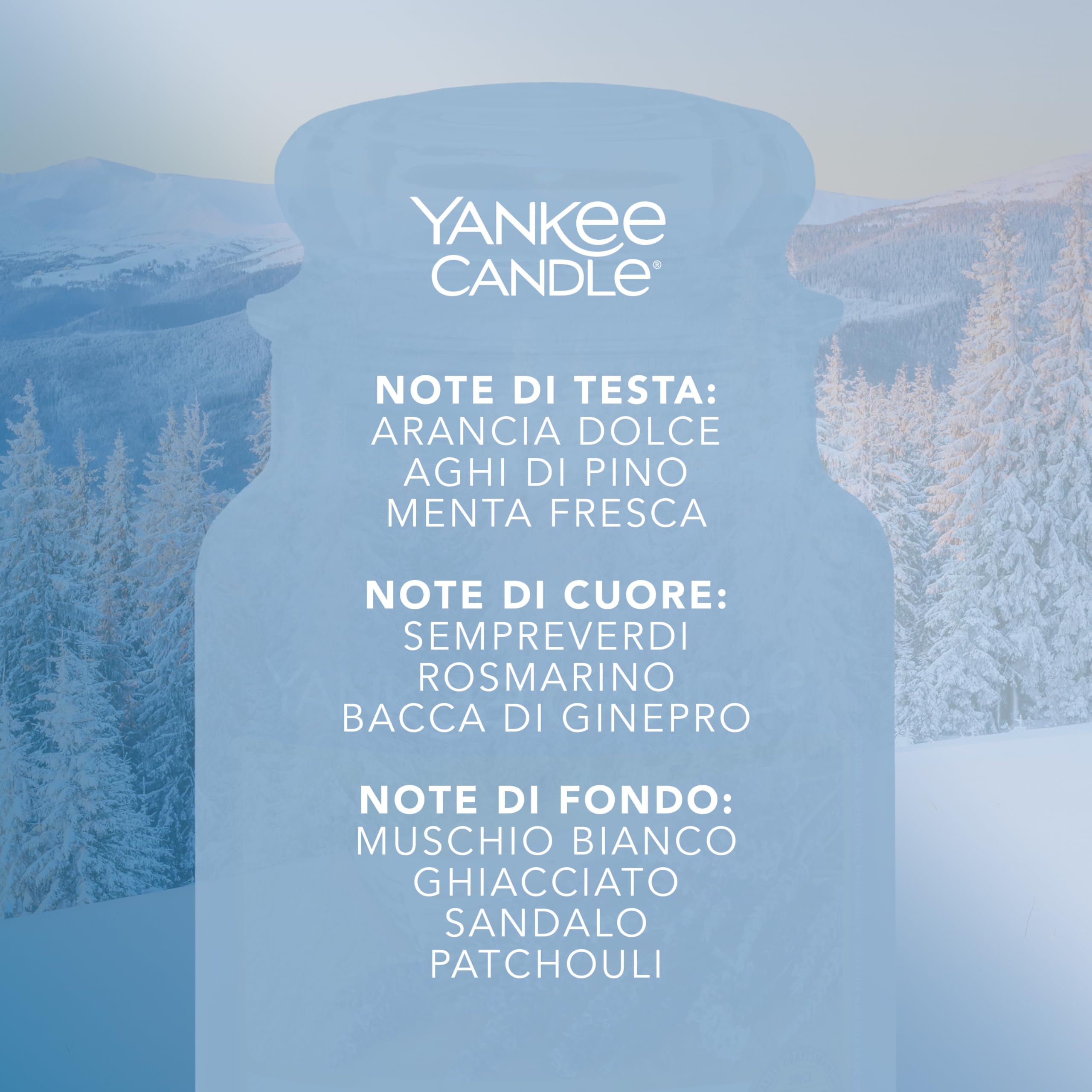 Yankee Candle Candela Giara Grande, Sparkling Snow, fragranze naturali