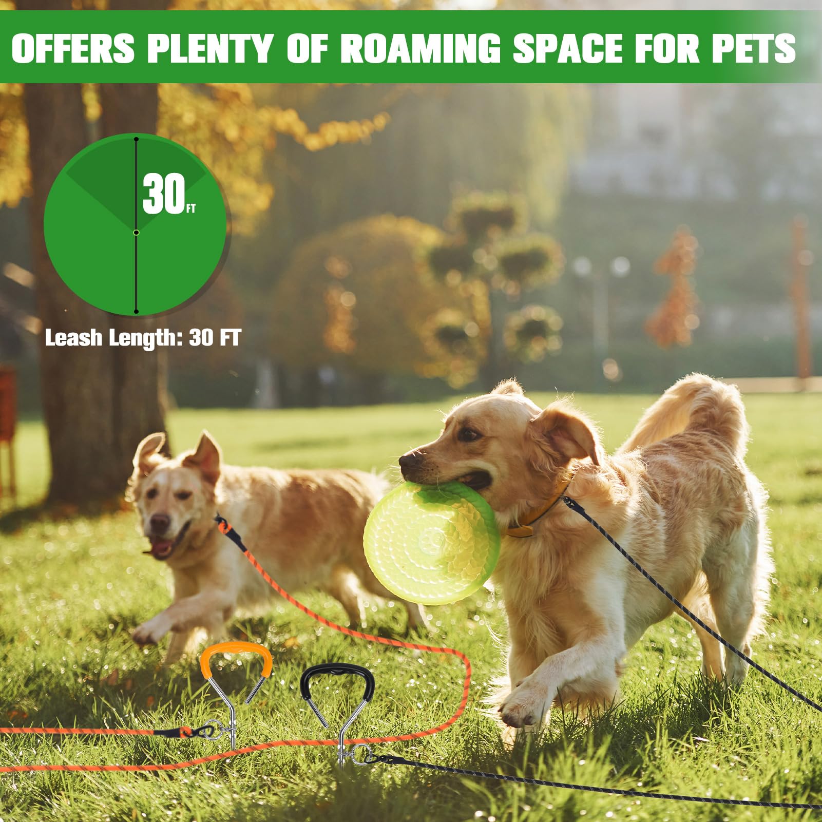 Mihachi Dog Tie Out Stake and Long Dog Leash, Reflective Recall Training Lead Leash with Removable Handle - Image 2