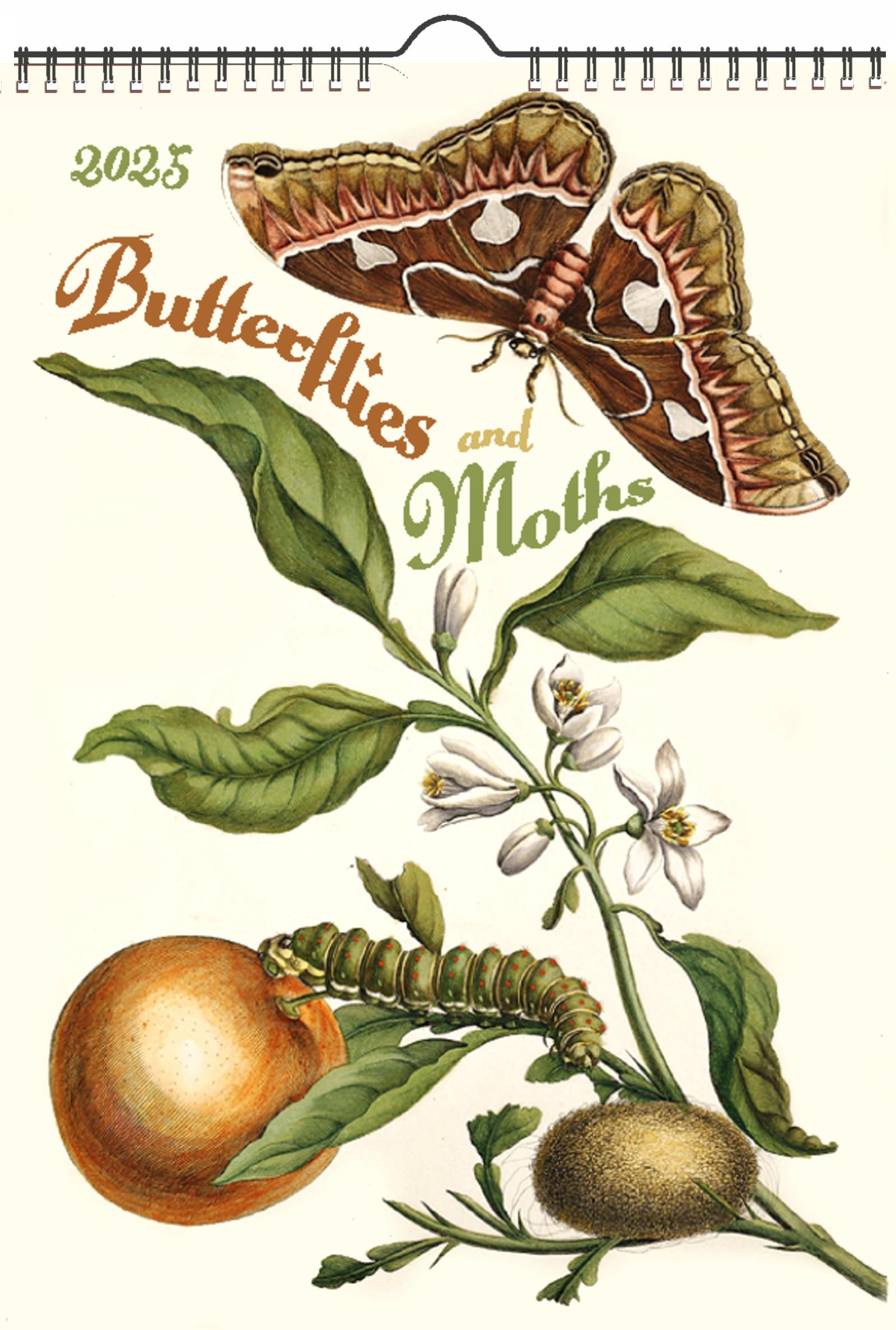 2026 Wall Calendar [12 pages 8"x12"] Butterfly and Moths Vintage Botanical Poster