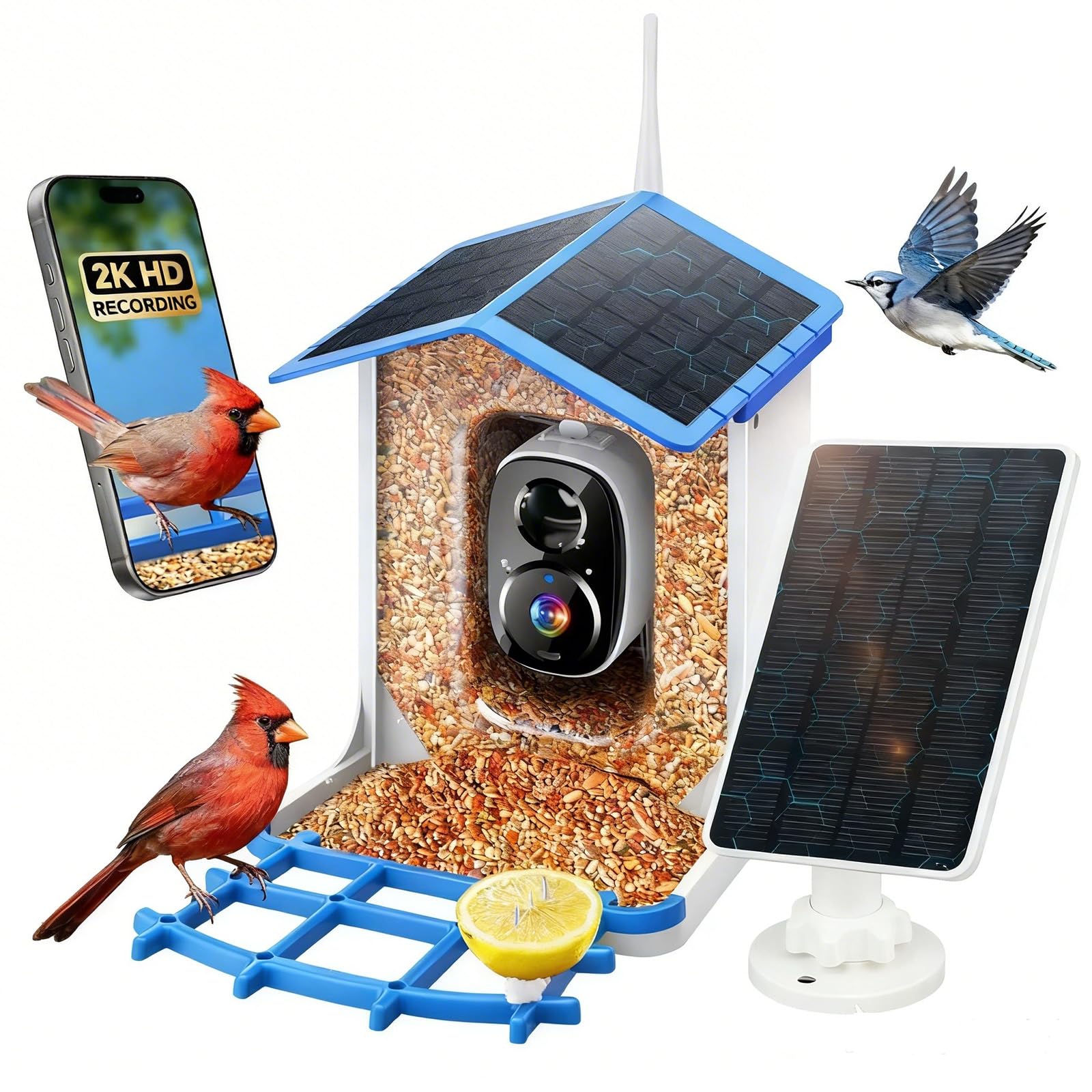 Photo 1 of Smart Bird Feeder with Camera Solar Powered for Outdoors, AI Bird Species Identification, 2K HD Video Live Stream Bird House with Cam, Instant Arrival Alerts, Ideal Gifts for Bird Lovers