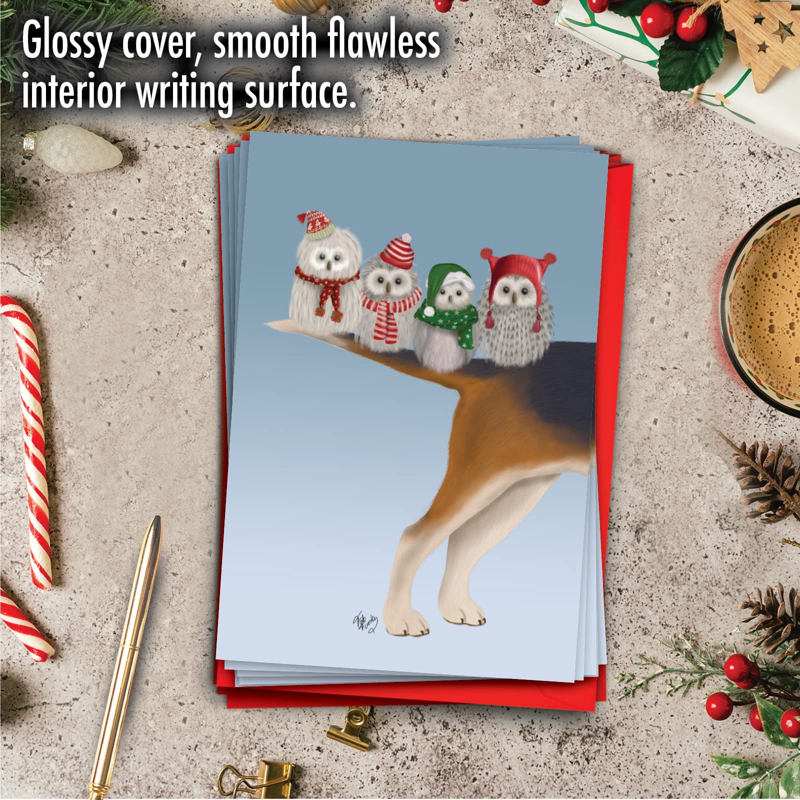 The Best Card Company Noel Animals-Owls C9558JXSG-B12x1 Lot de 12 cartes de vœux de Noël avec enveloppes 12 x 17 cm