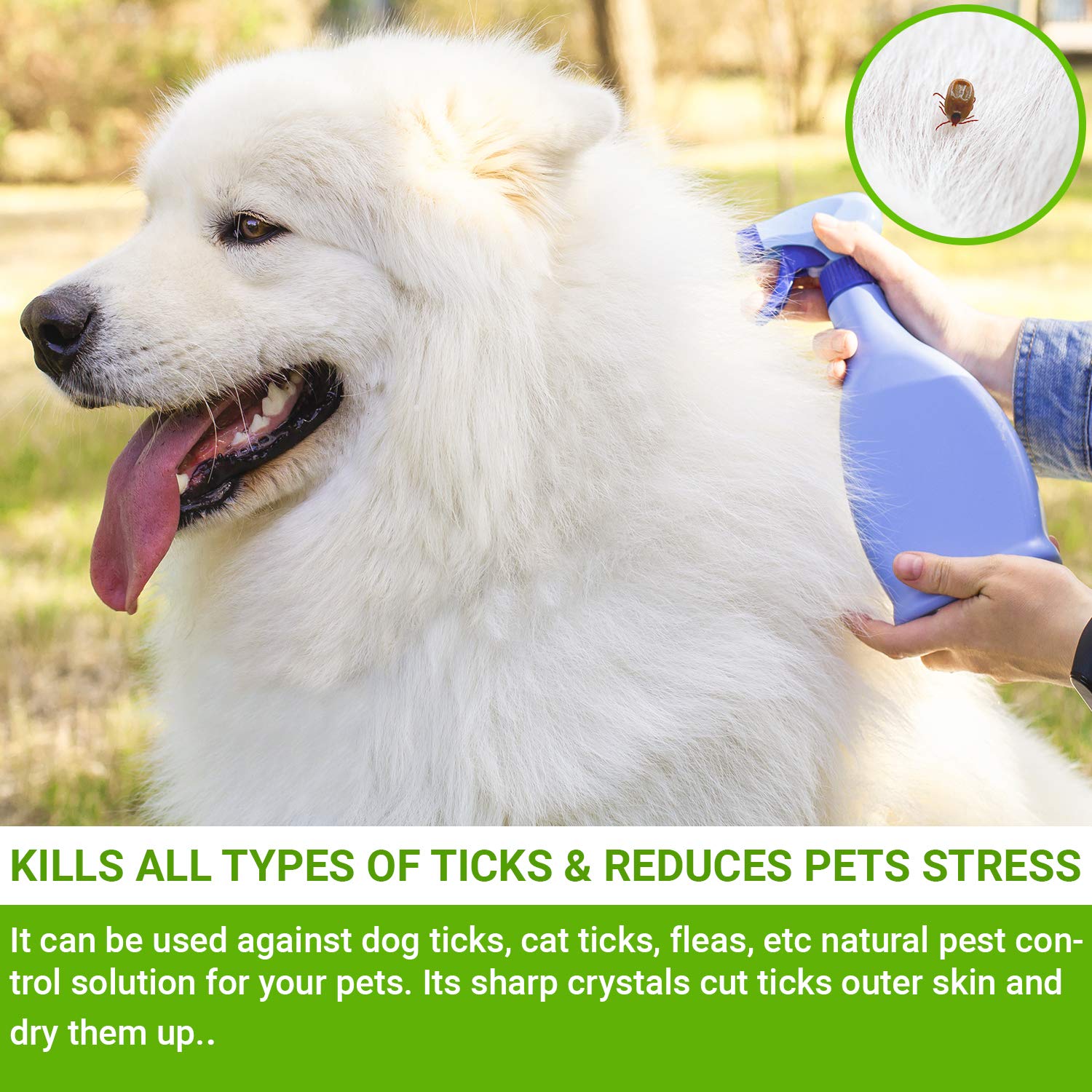 Pai's Organic Dog Tick Killer/Organic Parasite Killer (Pet Care Product) - 250 Grams 2