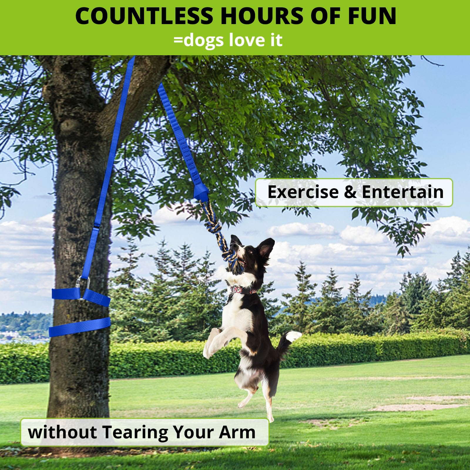 Juguete elástico Colgante para Perros: Cuerda interactiva para Perros pequeños a Grandes Pitbull para Hacer Ejercicio y Equipo de Entrenamiento, Juguete de Cuerda para Perros al Aire Libre