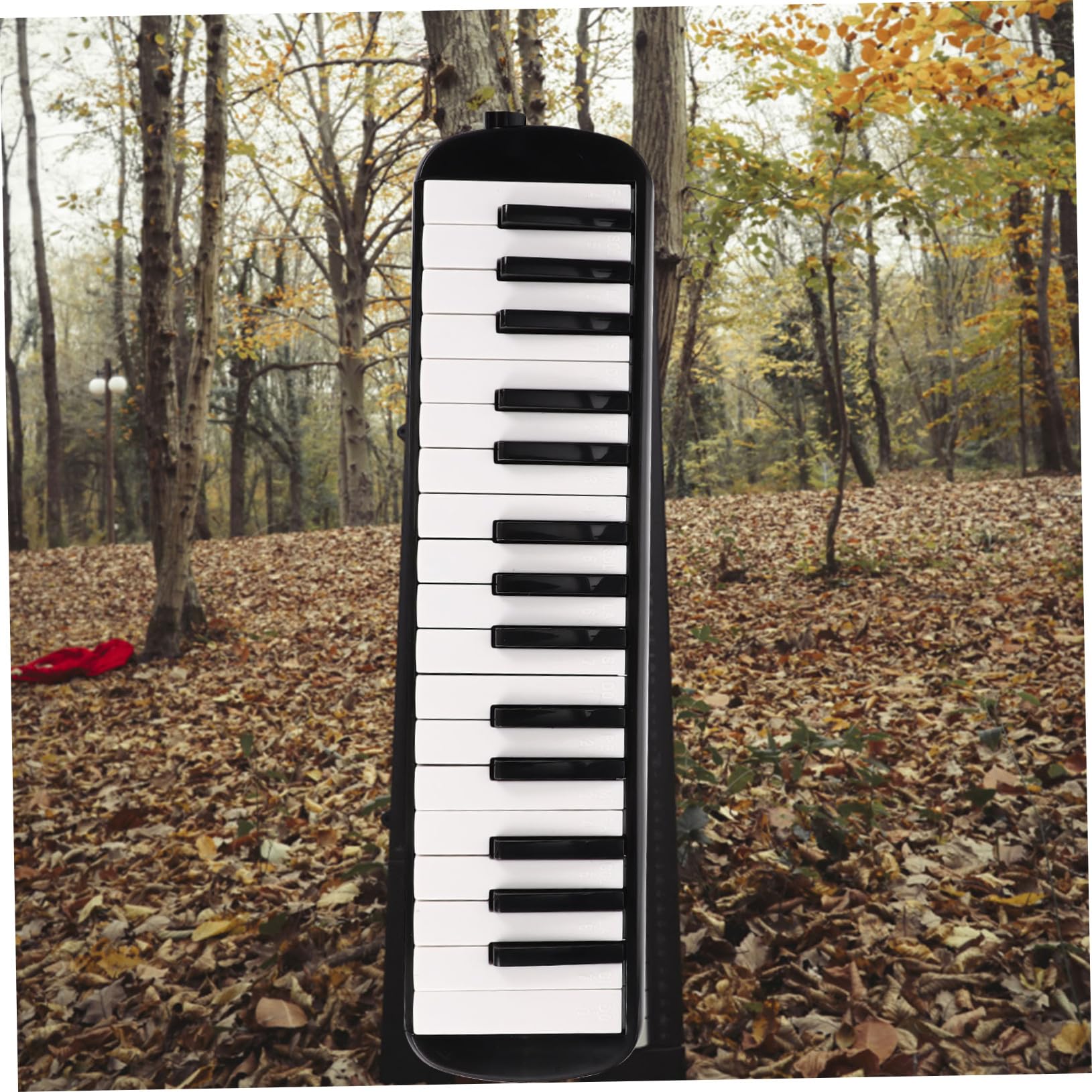 Melodica Tasti per Principianti Strumento Melodico per Ragazzo Ragazza e Adulti Bocchini Realizzato Materiali per Qualità del Suono