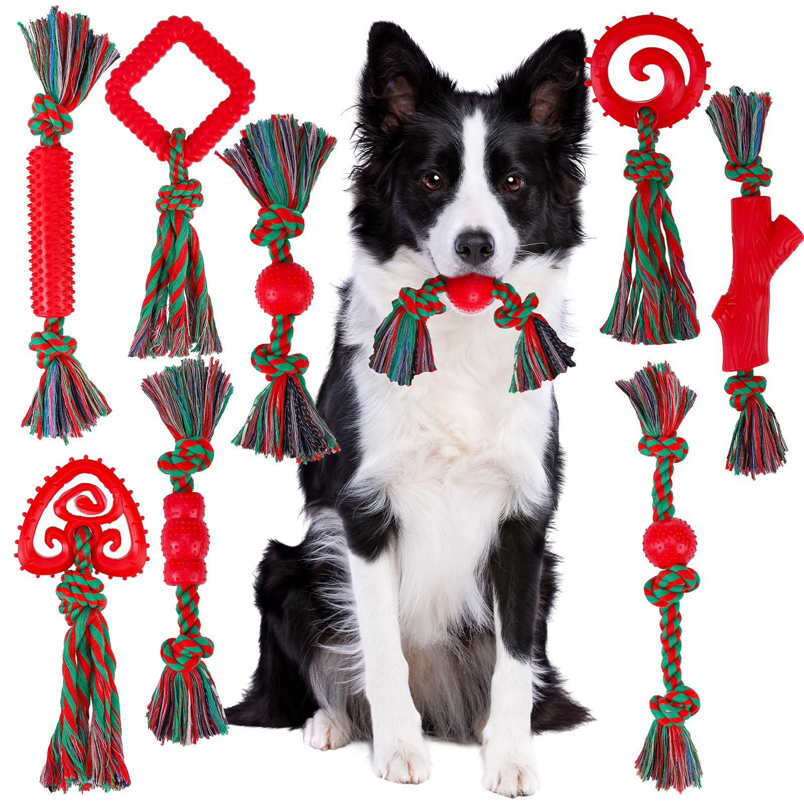 BINGPET 8 Pack Dog Rope Toys for Small to Medium Dogs, Interactive Dog Toys for Teething, Tug of War, Training