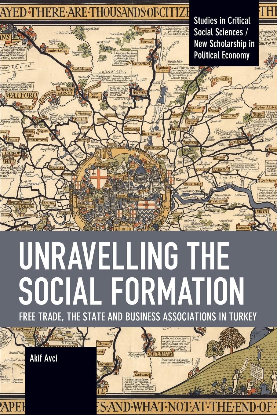 Unravelling the Social Formation: Free Trade, the State and Business Associations in Turkey (Studies in Critical Social Sciences)