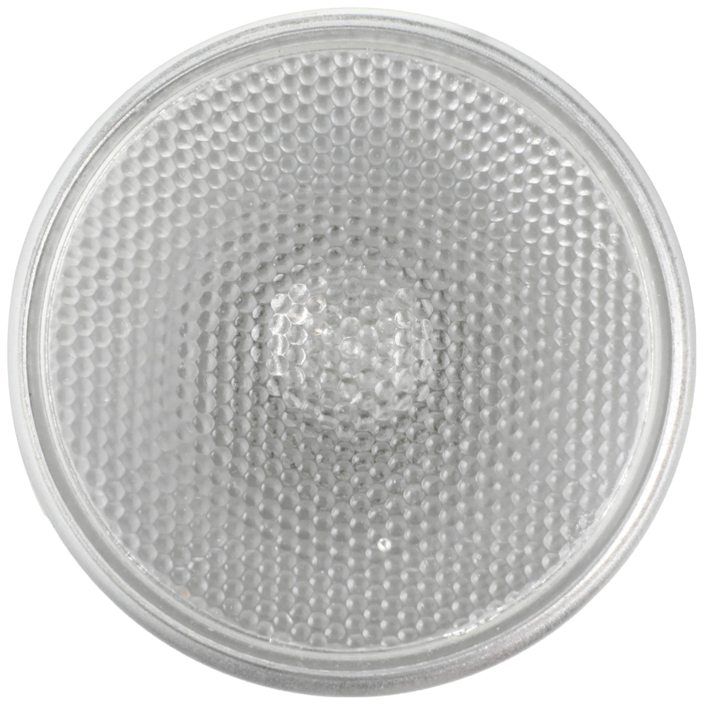 Amazon.co.jp: ゼンスイ ソーラーラプター HIDランプ 交換球 50W : 車