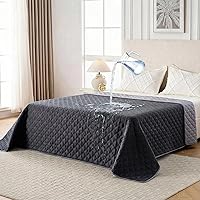 Vista 15 de Manta impermeable para perro, funda de sofá lavable para perros, funda reversible para cama de perro