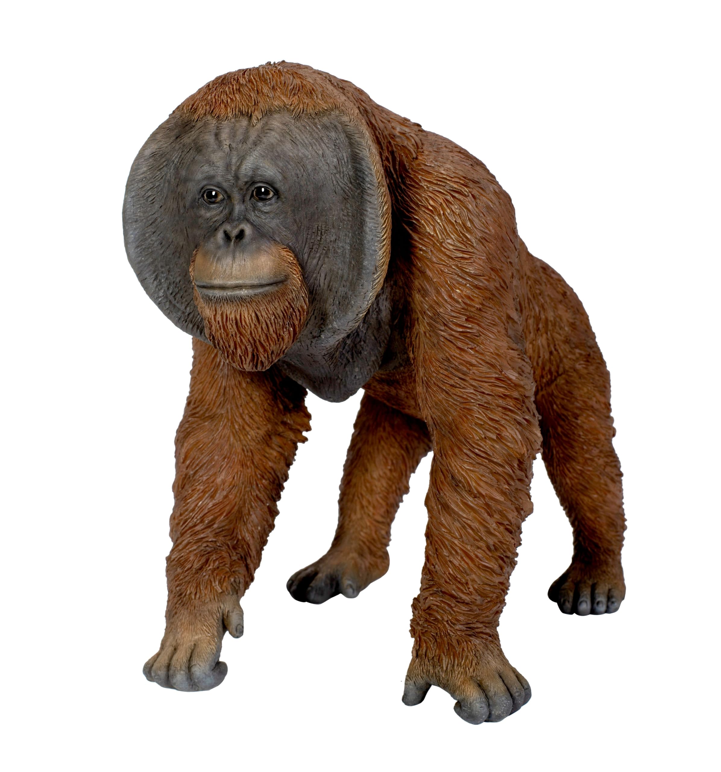 Vivid Arts - Active Orangutan - XRL-ORN4-D