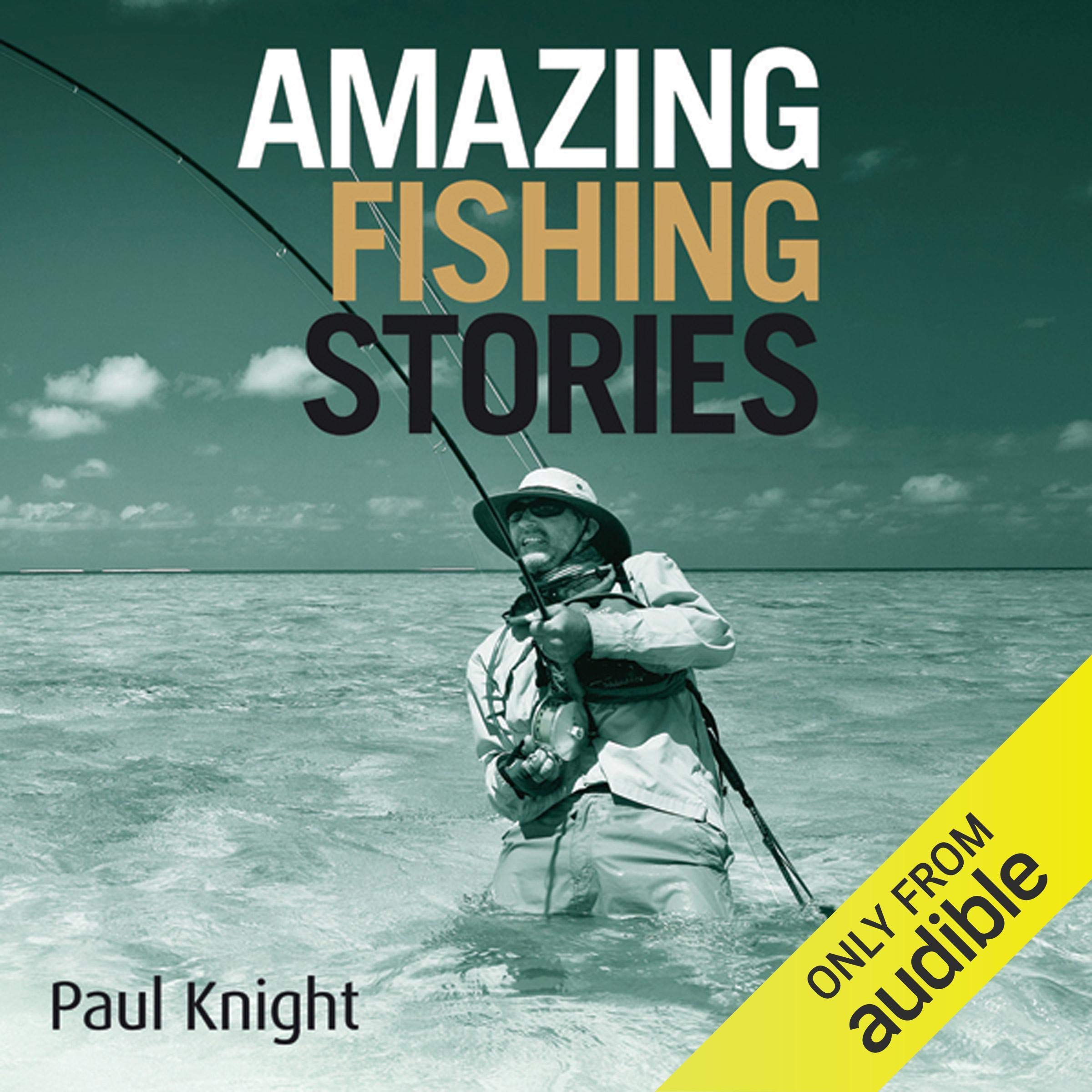 Cover art for Amazing Fishing Stories