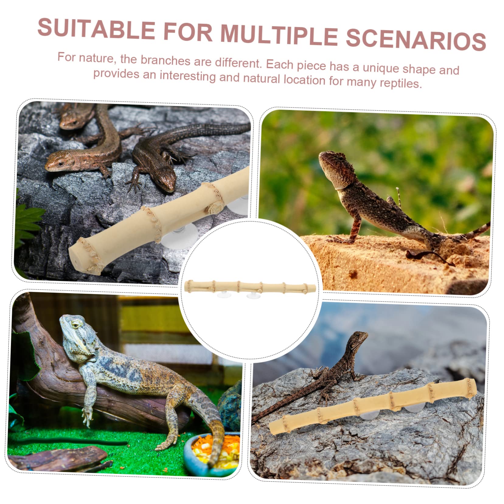 Sosoport 5stücke Bearded Dragon Klettern Spielzeug Mit Saugnapf Dekorative Stand Rack Für Eidechsen Und Reptilien Kletterzweig Für Terrarium Zubehör