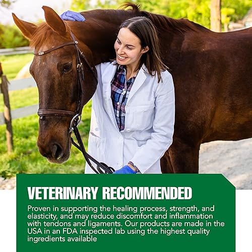 Miniatura 6 de Ramard Reparación total del tendón Suplemento avanzado en polvo con vitamina C, colágeno y MSM para soporte de articulación de caballo, ligamentos