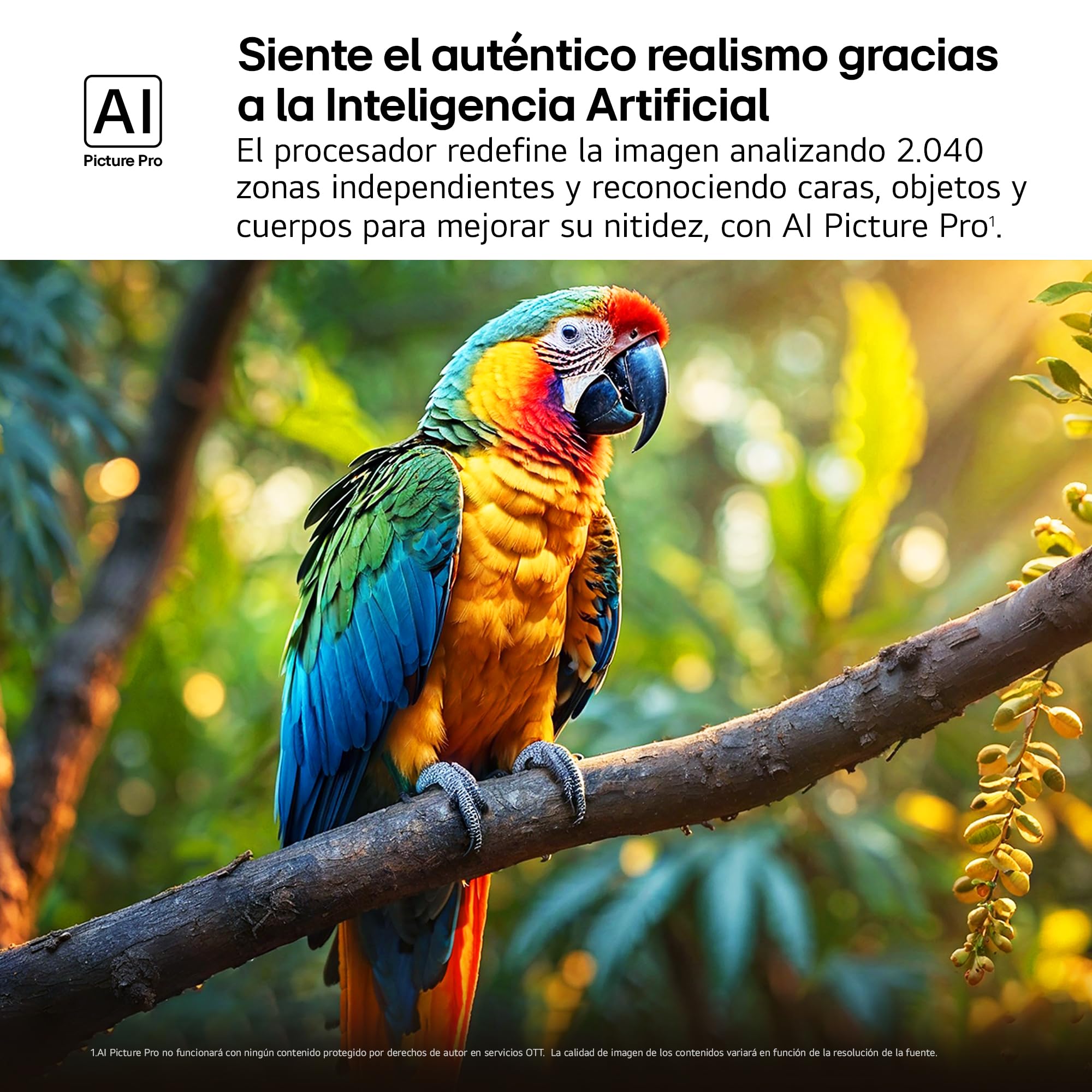 LG 65QNED85A6C - TV 65", 4K QNED EVO, Smart TV, WebOS 25, Procesador Potente e Inteligente, MiniLED AI, Super Upscaling, Dolby Vision y Dilgital Plus, Alexa/Google Assistant, Negro