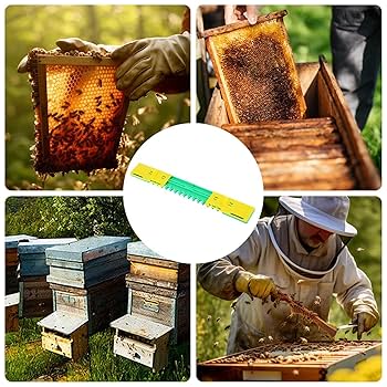 Amazon.co.jp: 蜂の巣入り口減速機 - 蜂の巣の入り口ブロック