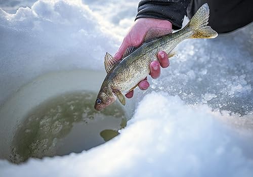 Miniatura 8 de Berkley AMP - Combo de pesca en hielo