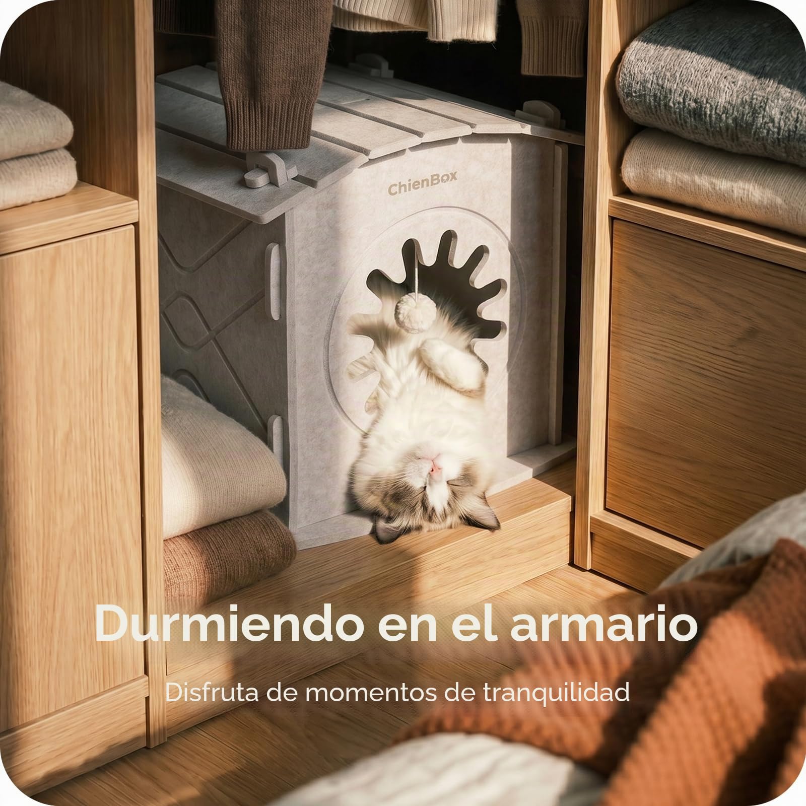 Casa para Gatos Interior de Fieltro: Cálida Cueva para Gatos Invierno, Casa Gatos Robusta, Casa Gato con Entrada Rascadora, Cama para Gatos Fácil de Limpiar y Montar, Cueva Gato 38x36x38cm
