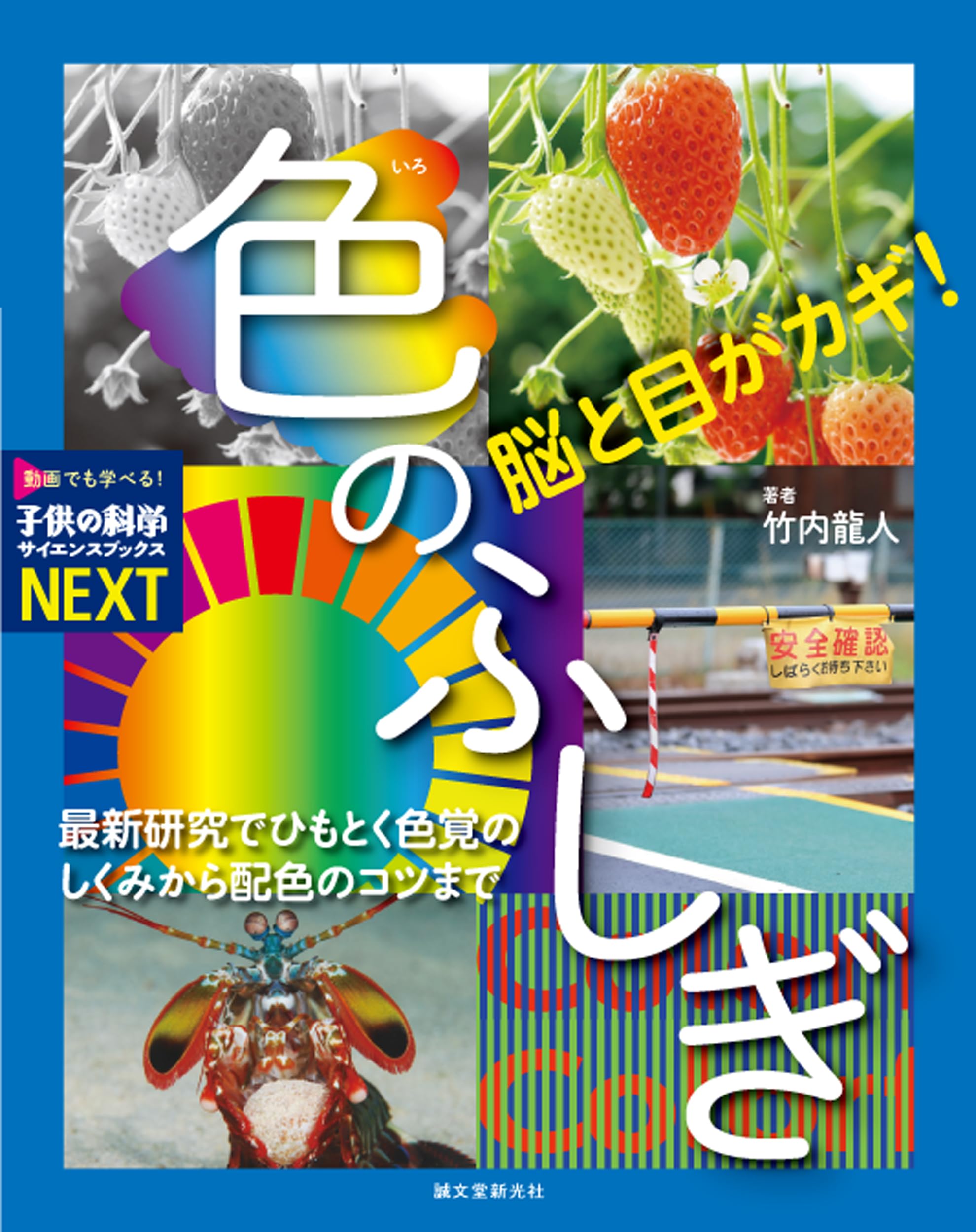 色覚のメカニズム: 新装版 (色彩科学選書) 色覚のメカニズム 新装版｜朝倉書店