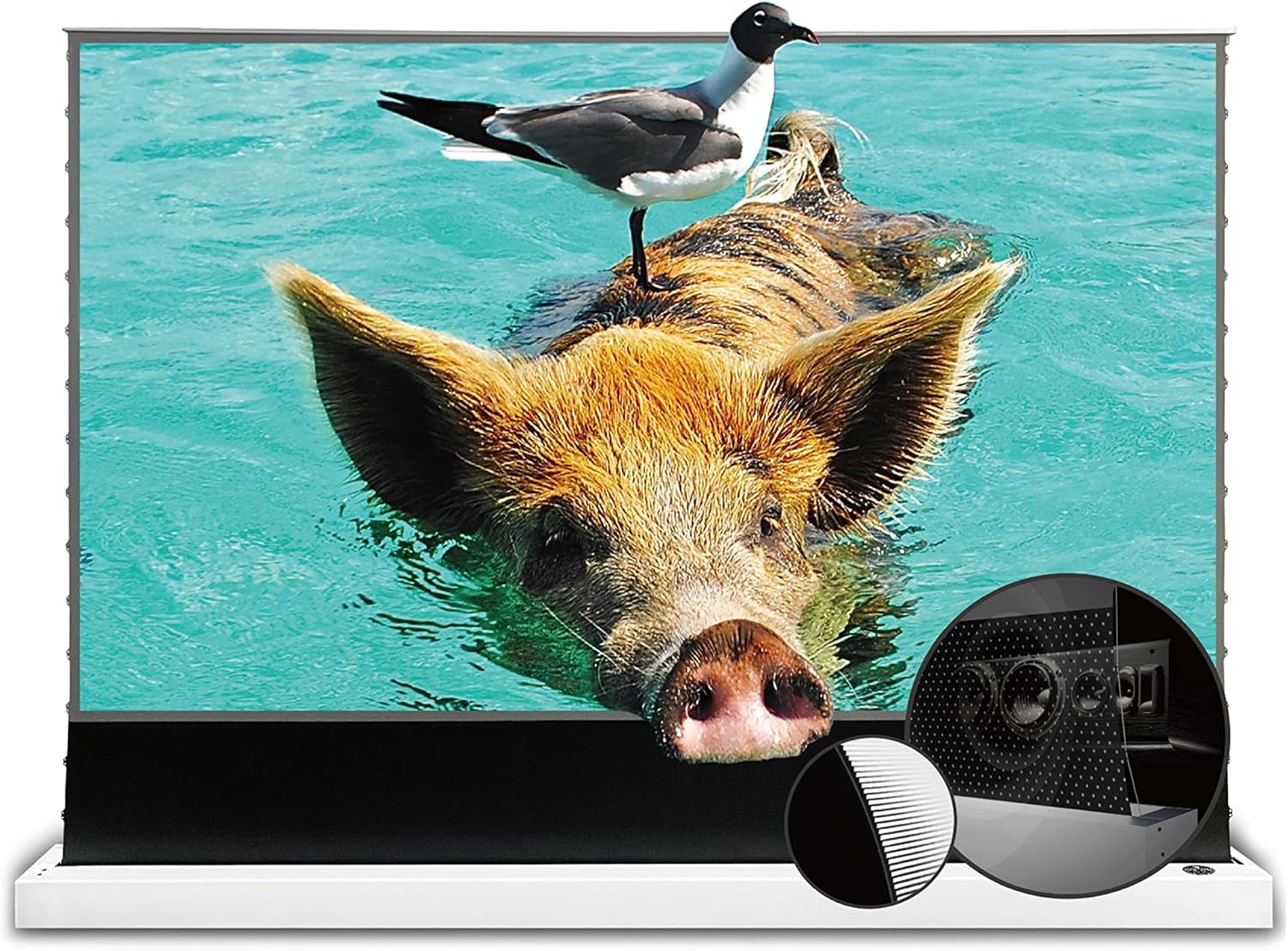 VIVIDSTORM Motorized UST Projector Screen, Tensioned with Sound Transparent Perforated Design, Ideal for Home Theater and Gamingr, VWSDSTUST110HP