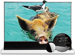 VIVIDSTORM-Projection Screen Stand S PRO P 92inch Portable Ambient Light Rejecting 4k UHD Laser Projector Screen with Sound Transparent Perforated Compatible with UST Laser Projector,VWSDSTUST92HP