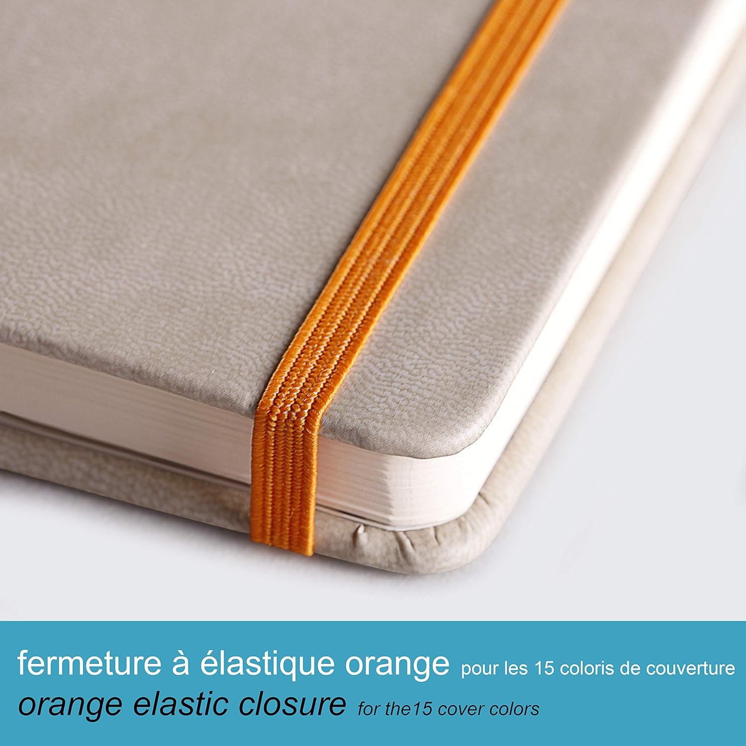 Rhodia Rhodiarama Webnotebook - Lined 96 sheets - 5 1/2 x 8 1/4 - Turquoise Cover, 118747C