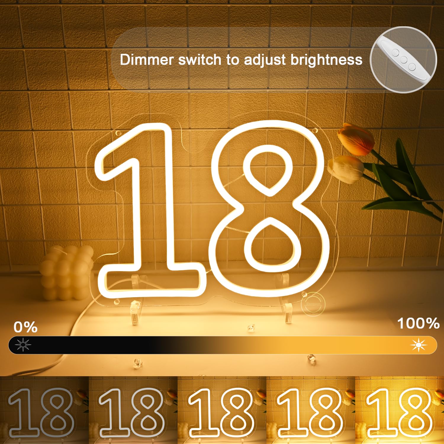 Britrio insegna al neon per 18° compleanno, decorazione sfondo, luce LED al neon per 18 anni, compleanno, anniversario, festa, decorazione da parete, banner, accessori per ragazza e ragazzo, numero e