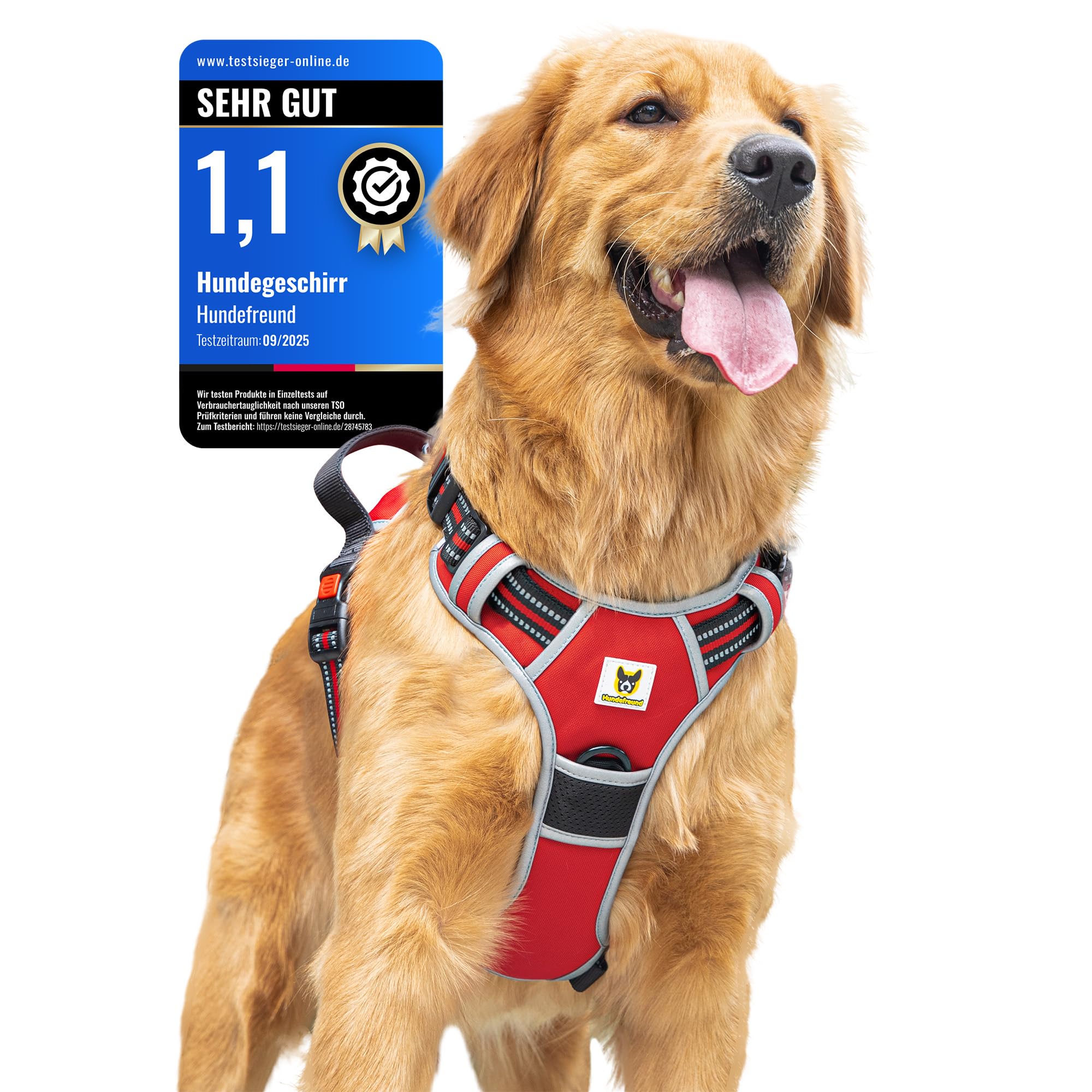 Harnais anti-traction Hundefreund réfléchissant et réglable avec 3 boucles taille L