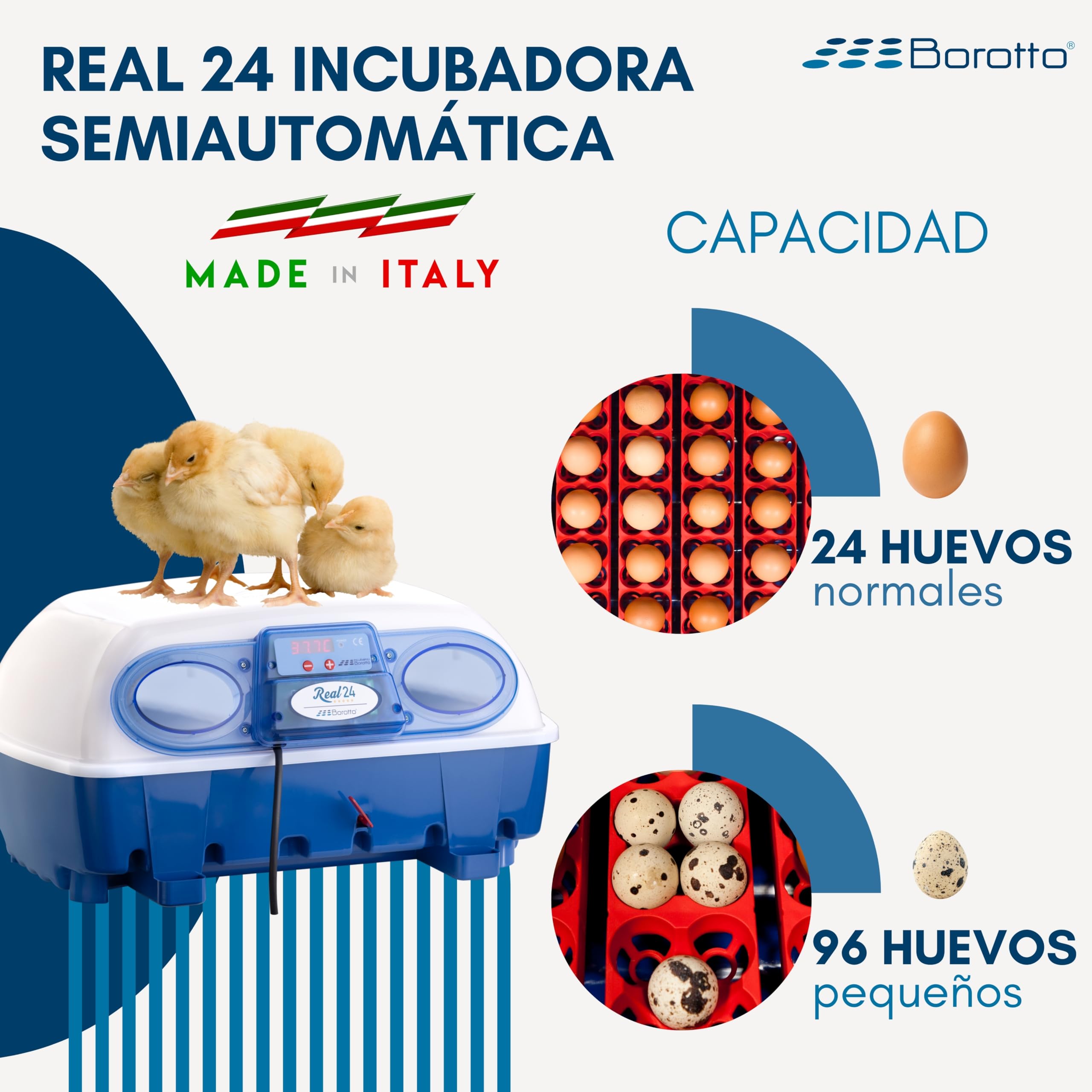 Borotto Real 24 Semi Automática | Incubadora de Huevos Profesional Patentada para 24 Huevos o 96 Pequeños con Volteador de Huevos con Palanca y Control de Temperatura | Made in Italy
