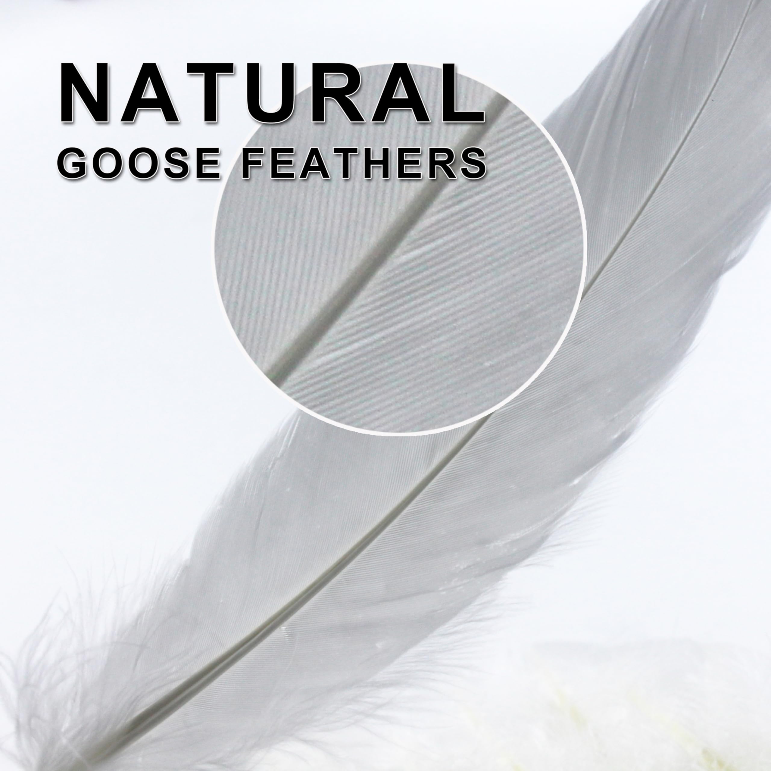 15-20cm 50 PCS White Feathers Natural Goose Feathers for DIY Wedding Decorations Angel Wings & Fairy Crafts - Image 4