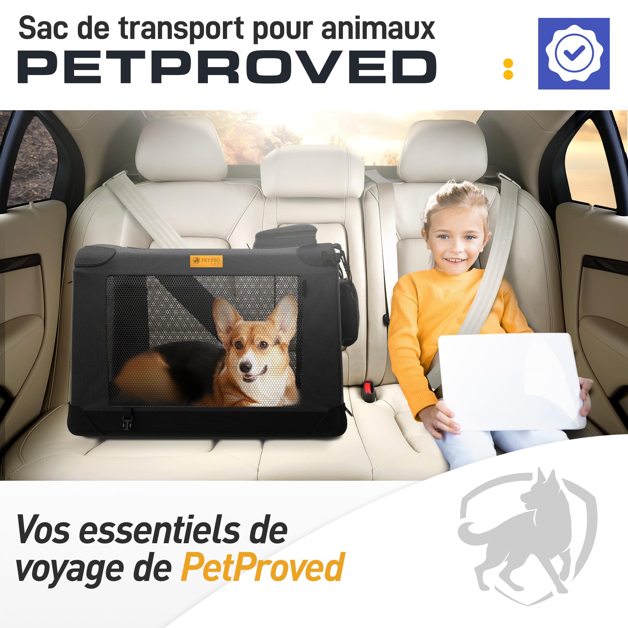 PETPROVED Caisse de voyage pour chien - Cage de transport pour chiens de grande taille - Caisse pliable pour voitures